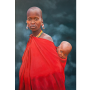 image 01 image 01
