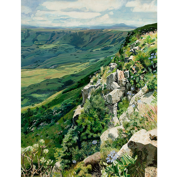 image 11 image 11
