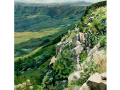 image 11 image 11