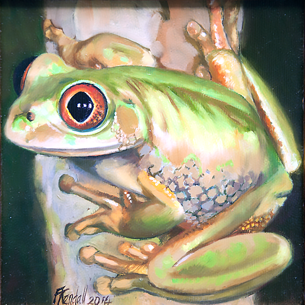 frog img 01 frog img 01