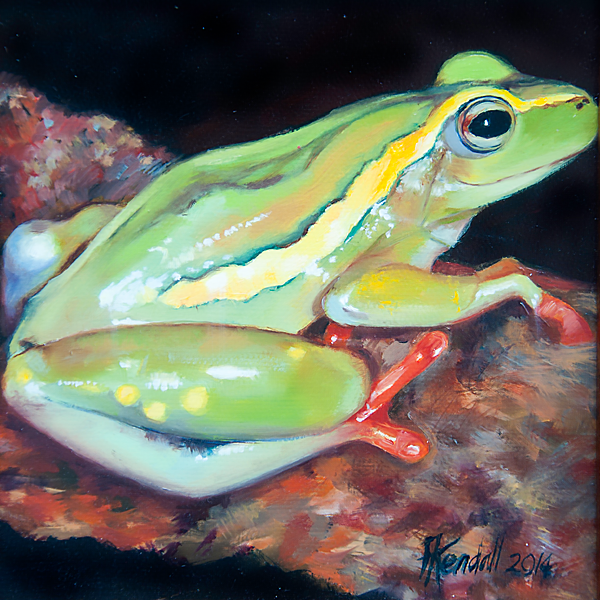 frog img 02 frog img 02