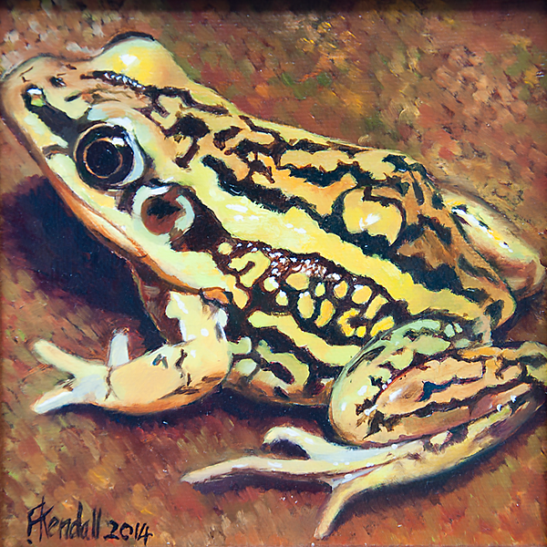 frog img 03 frog img 03