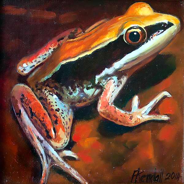 frog img 05 frog img 05