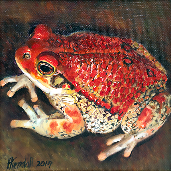 frog img 06 frog img 06