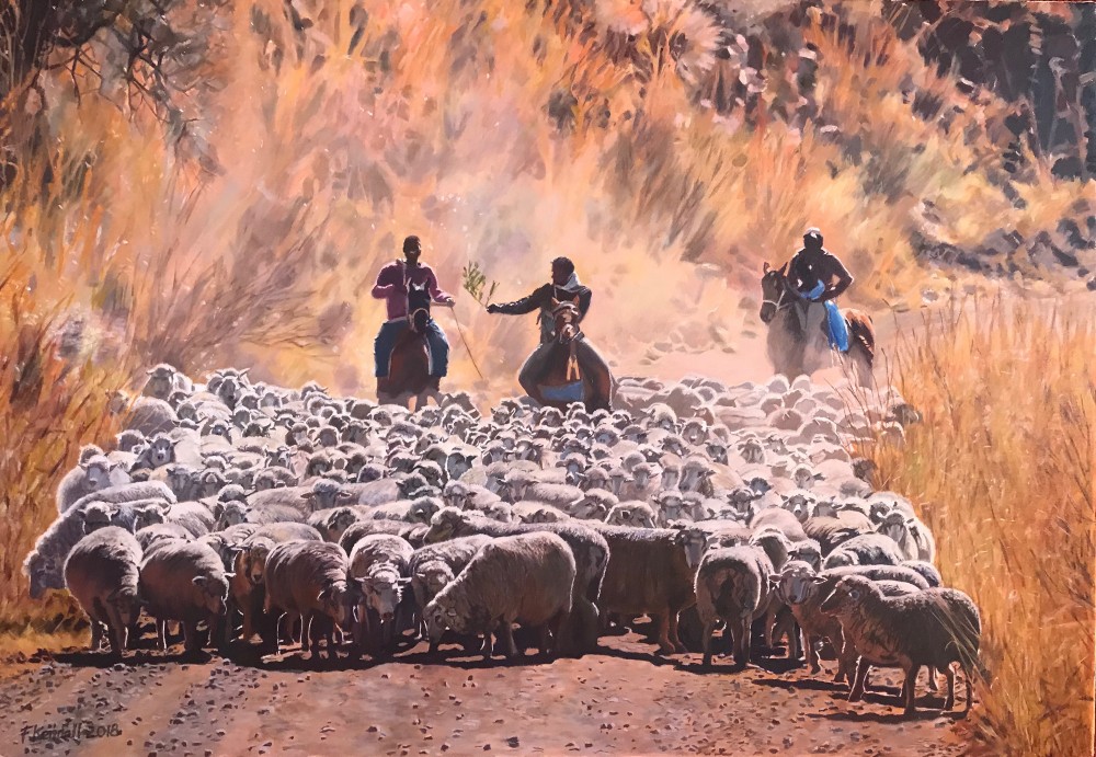 herding sheep herding sheep